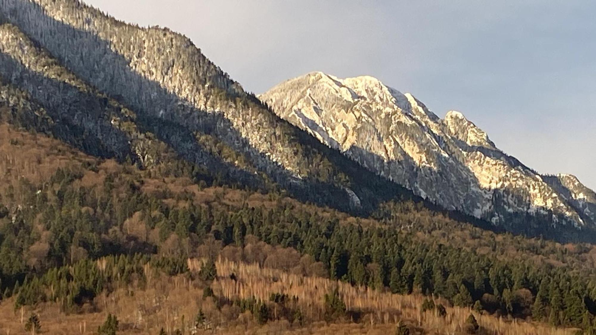 Vila Hora Craiului Zărneşti Exterior foto